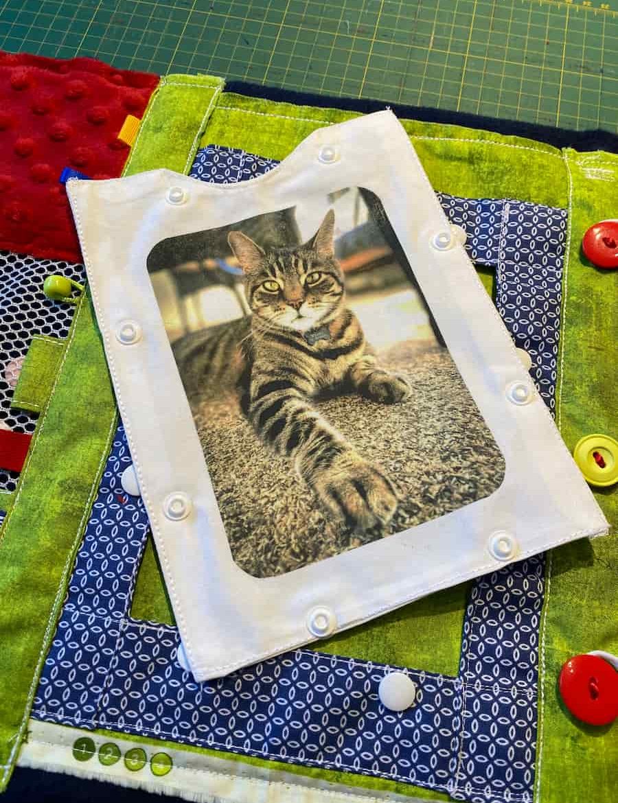 couverture bleu, verte et rouge vue rapprochée chat, blue, green and red blanket cat close-up view